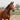 Seilhalfter-Set 2 Farben