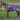 Reitdecke Wasserdicht 0gr Fleece WI24