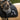 Avoke Helix Dressage